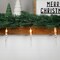 Northlight Icicle String Christmas Light Set - Warm White - 4.5' Clear Wire - 10ct